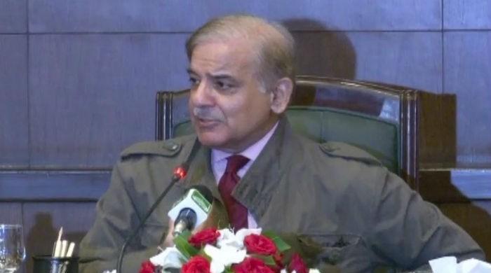 Those demanding snap elections are against development: Shehbaz
