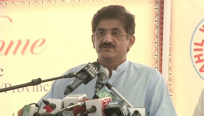 No one wants elections to be delayed: Murad