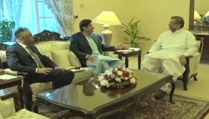 PM Abbasi discusses political situation, development projects with Sindh CM, governor  