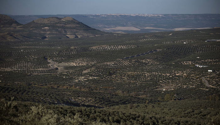 Spain, Portugal struggle with extreme drought