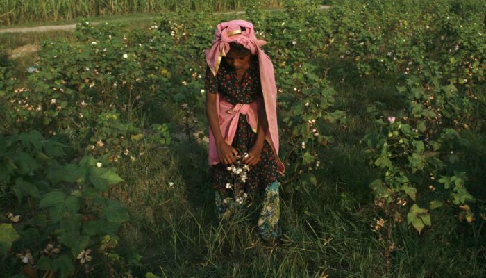 As rains grow erratic, Pakistan taps irrigation to protect Punjab crops