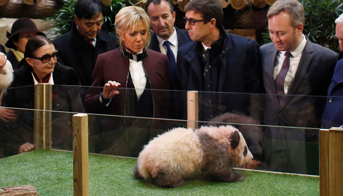Brigitte Macron fetes first panda born in France