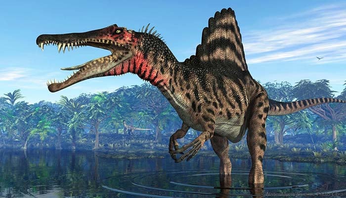 New ‘land and sea’ velociraptor-like dinosaur discovered