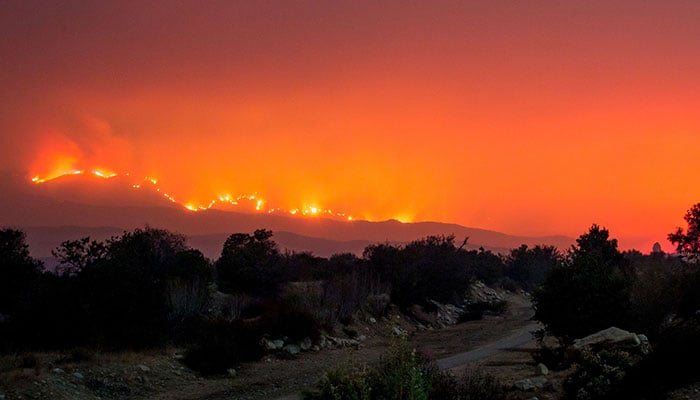 Wildfires scorch homes of the rich and famous in Los Angeles