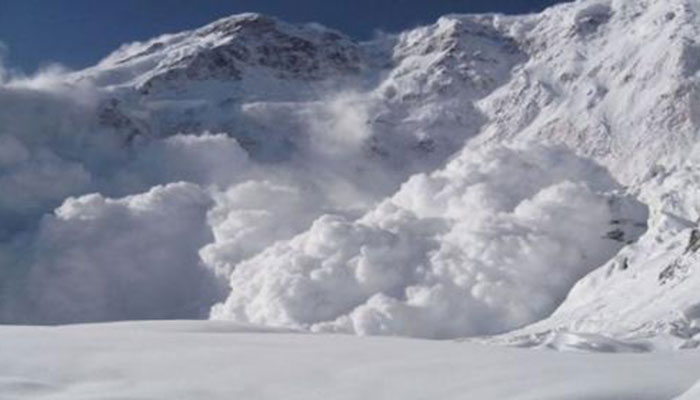 Two hikers dead, 7 missing in Iran avalanche: media