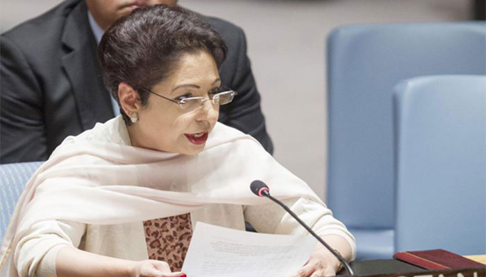 UN adopts Pakistan’s resolution on inter-religious dialogue to uphold peace