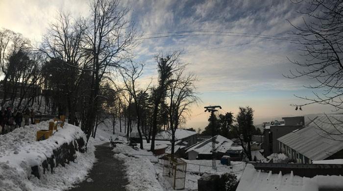 In pictures: Snow blankets streets of Murree In pictures: Snow blankets streets of Murree