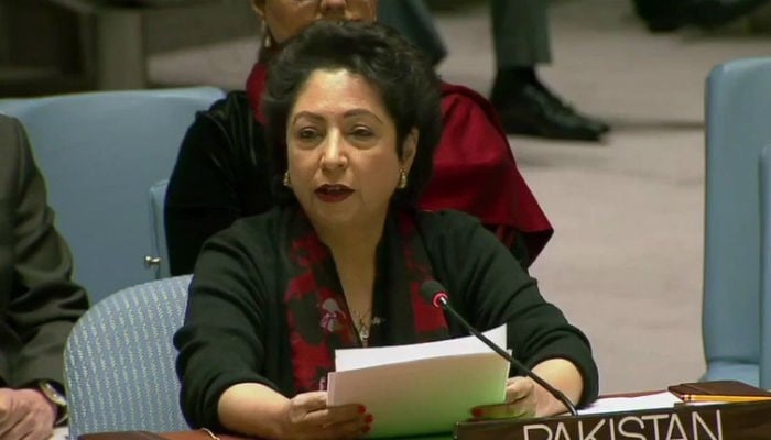 Pakistan says UN vote on Jerusalem will send message that world stands with Palestine