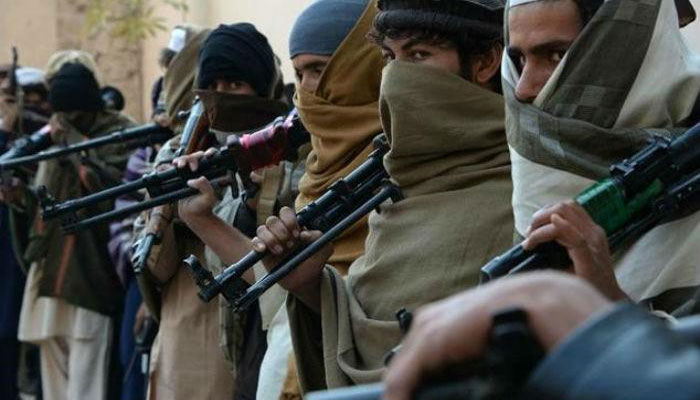 Taliban head of suicide operations killed in airstrike: Afghan media