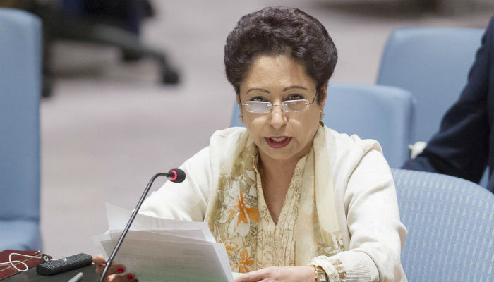 US should stop blaming others for its mistakes: Lodhi 