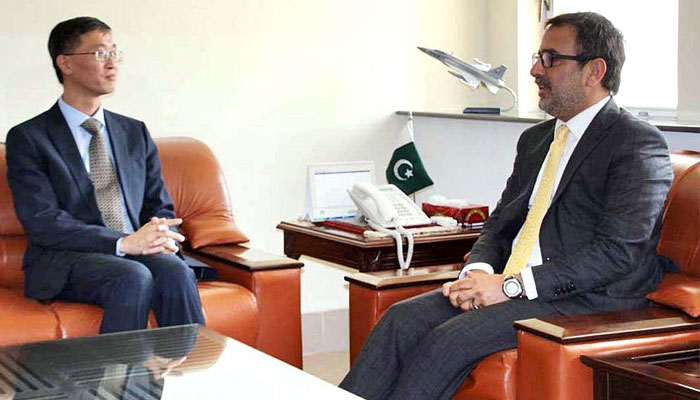 China to extend assistance in Pakistan's power sector: ambassador