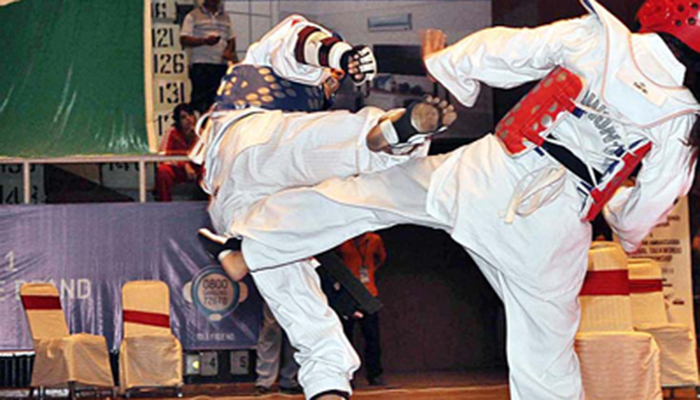 Pak judokas to undergo training in Hungary for 2020 Olympics