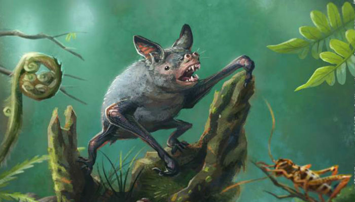 Extinct giant burrowing bat fossil found in New Zealand