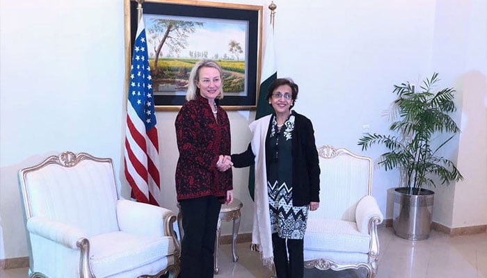 Coercing Pakistan will be unhelpful, Nasser Janjua tells EU Envoy for Afghanistan