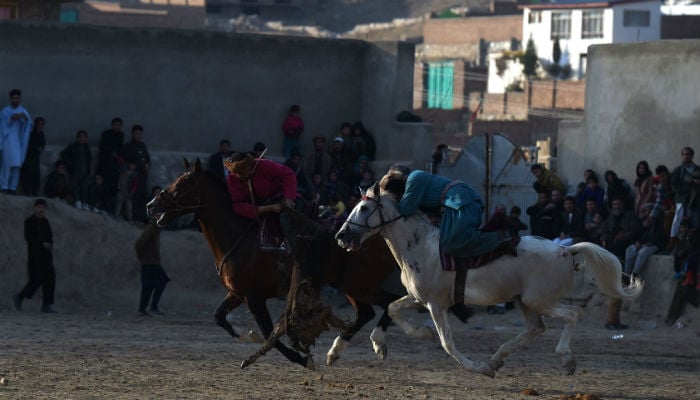 'Beasts of war': Afghanistan's buzkashi horses prepare for battle