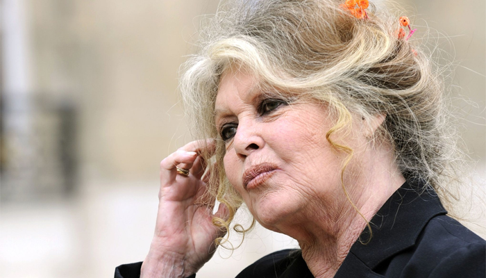 Brigitte Bardot slams #MeToo 'publicity-seeking' actresses