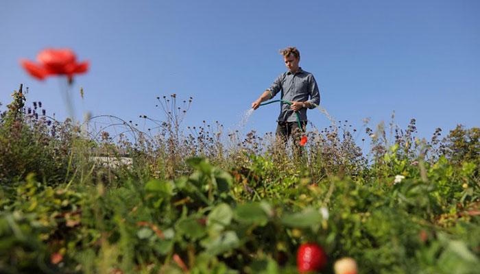 Gardening may help cancer survivors eat better, feel greater ‘worth’