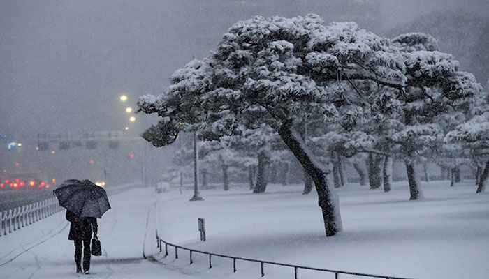 Dozens injured, transport disrupted as snow blankets Tokyo
