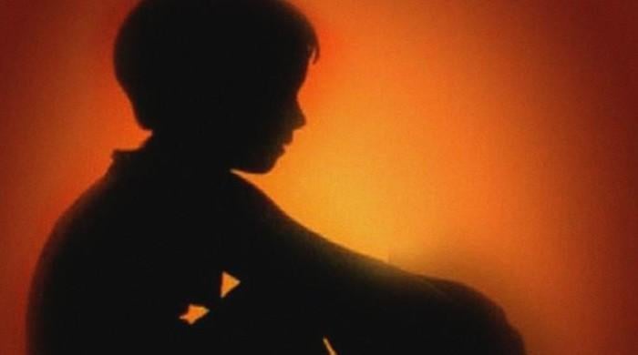 KP IG orders inquiry into death of maid employed by Mushtaq Ghani’s brother