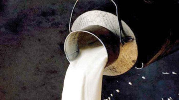Commissioner Karachi orders milk to be sold at government price