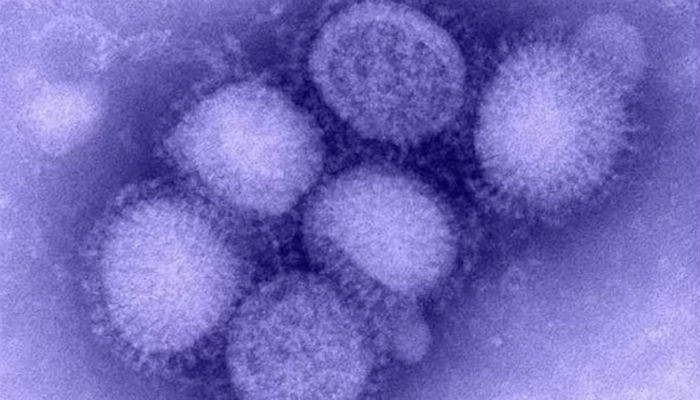 Influenza death toll in Multan reaches 45