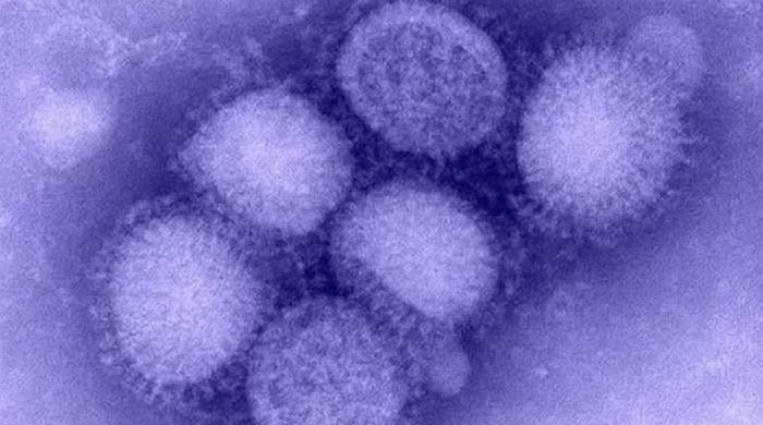 H1N1 is a killer. Here is what you need to do