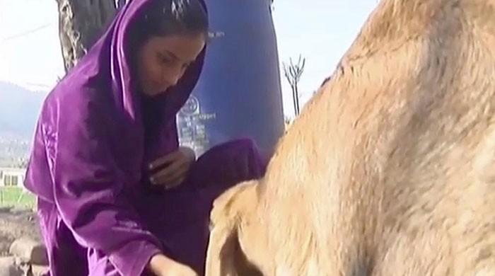 A new life: Girl injured in Indian LoC shelling gets prosthetic leg 