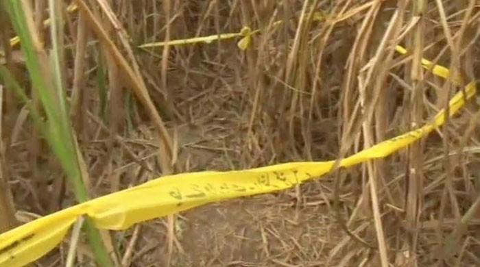 Asma rape-murder case: Suspect's DNA matches samples sent by KP police  