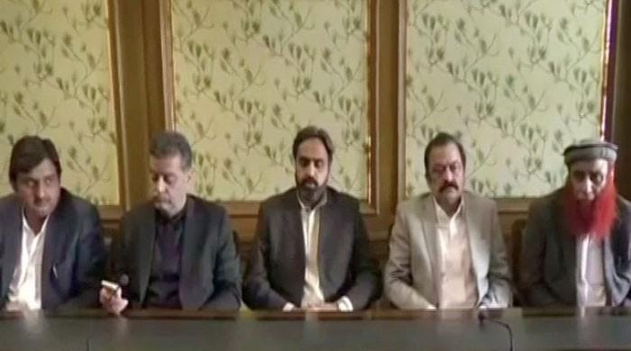 MPA Nizamuddin Sialvi quits politics