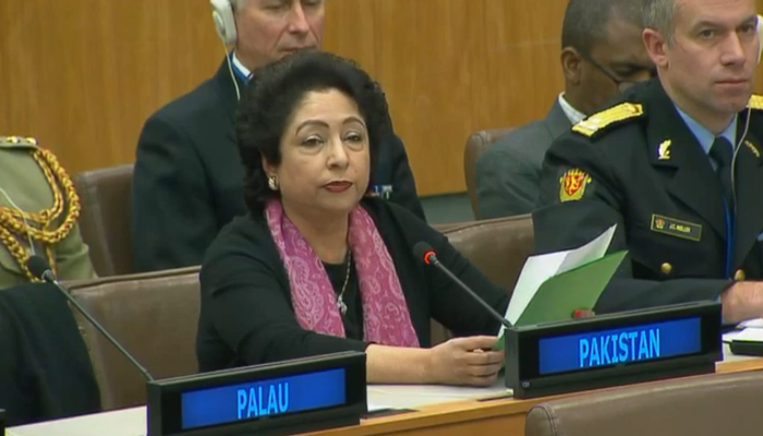  UN Military Observer Group in India, Pakistan must be expanded: Maleeha Lodhi