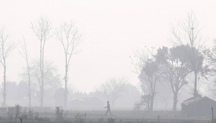 India's $230 million plan to stop crop burning that pollutes Delhi falls short of estimates