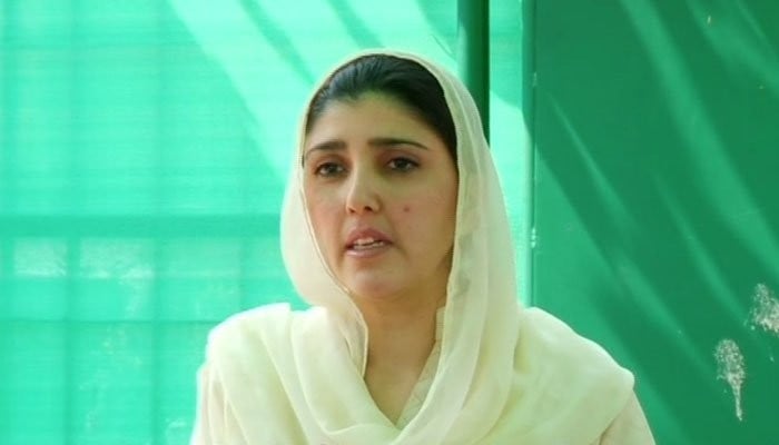 PML-N offered Senate ticket to malign institutions: Gulalai 