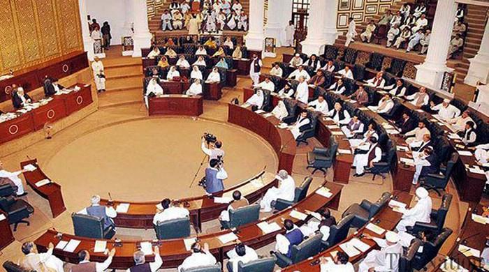 Billion Tree Tsunami project: KP Assembly echoes with corruption allegations 