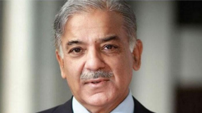 British-Pakistani businessmen hail decision to make Shehbaz PML-N president