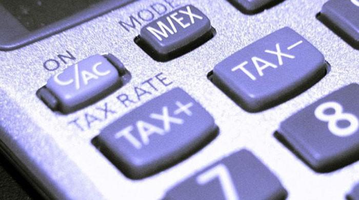 Committee recommends amnesty for undisclosed foreign assets in three categories