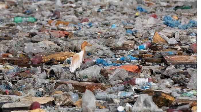 As Karachi's garbage problem grows, KMC laments inadequate funding 