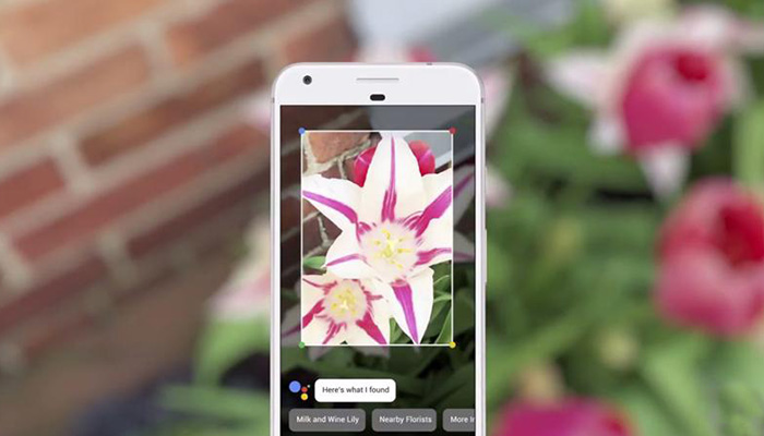 Get ready for Google Lens, Android users!  