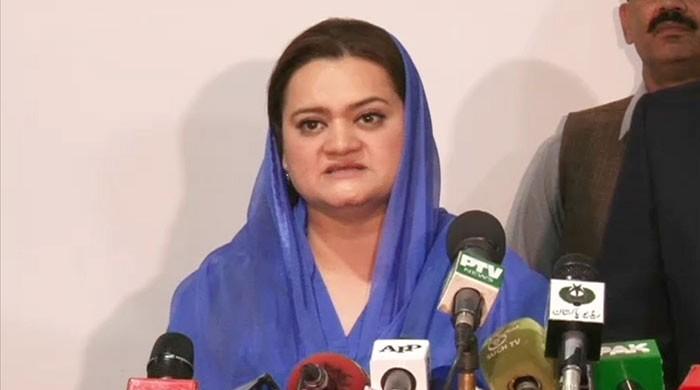 Ugly face of those chanting slogans for change exposed: Marriyum