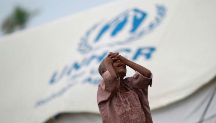 UN investigators cite Facebook role in Myanmar crisis
