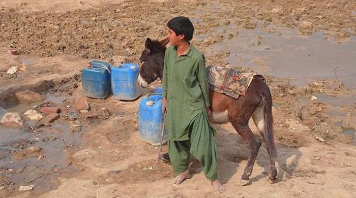 In search of clean drinking water  In search of clean drinking water