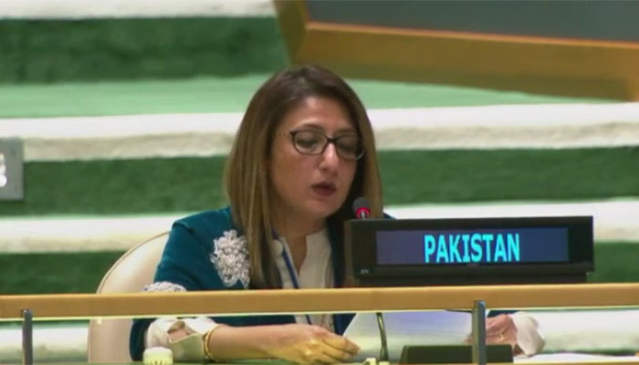 Pakistan expresses commitment to women empowerment, SDGs at UN