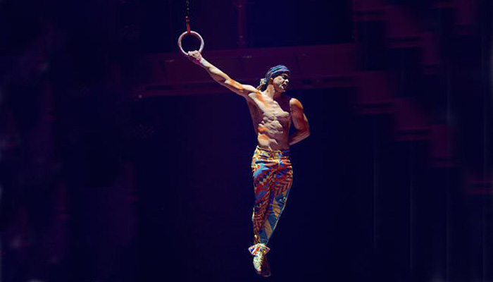 Cirque du Soleil aerialist falls to his death