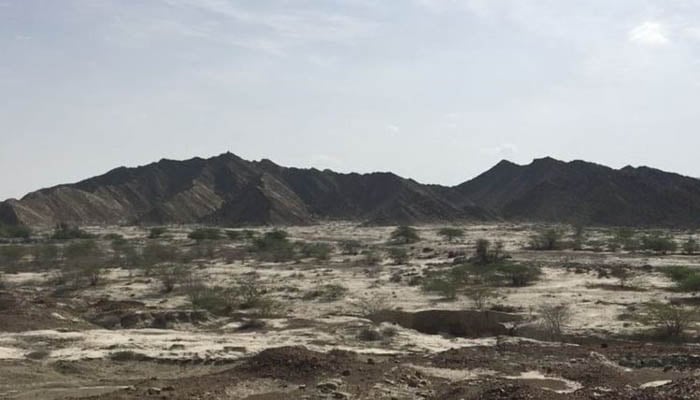 Traces of Nimrod found in Gwadar: report