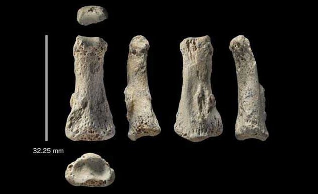 90,000-year-old finger from Saudi desert may rewrite human history