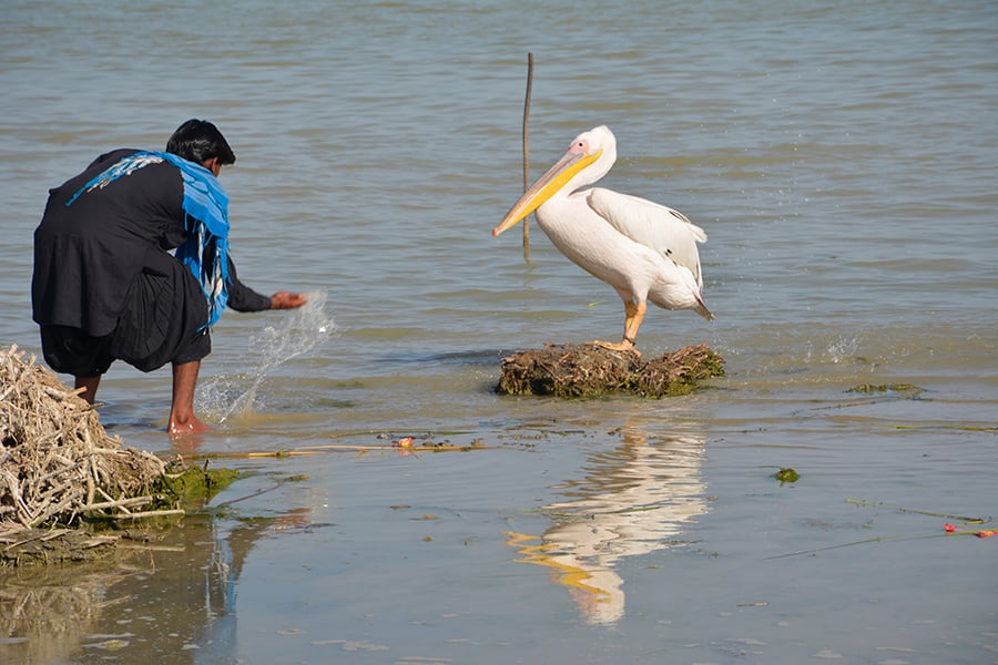 The death of a lake | Pakistan - Geo.tv