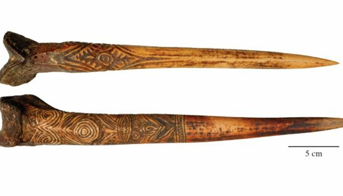 In New Guinea, human thigh bone daggers were hot property: study