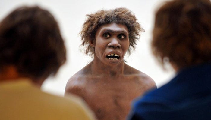 Scientists set eyes on Neanderthal ´brain´