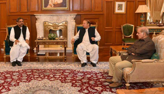PM, Shehbaz call on Nawaz to discuss party, political affairs