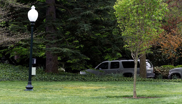 Macron and Trump planted tree at White House but why is it now missing