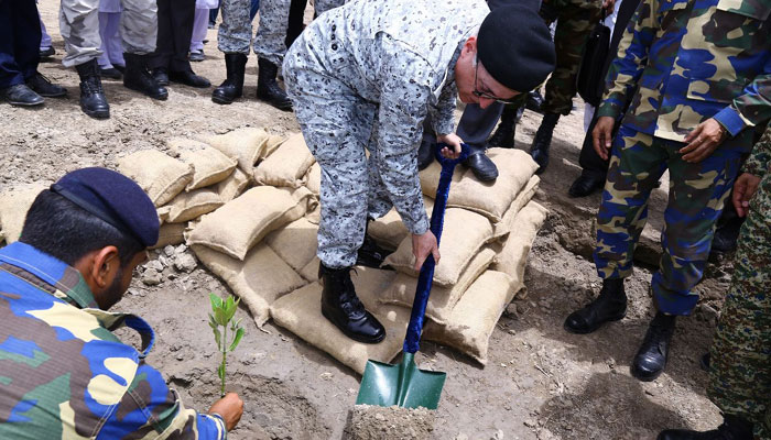 Pakistan Navy launches Mangroves plantation campaign 2018